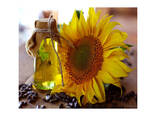 Refined Sunflower Oil Bulk Wholesale 100% Pure High Quality Edible Cooking - фото 2