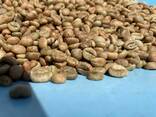 Roasted Arabica Green Coffee Bean - фото 1