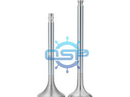 Sell D49 Inlet valve spindle D49.78.05 exhaust valve spindle 11D40.84.1spch-4