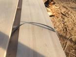 Sell planks (boards) Ash - фото 2