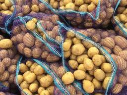 Ще продавам картофи на едро