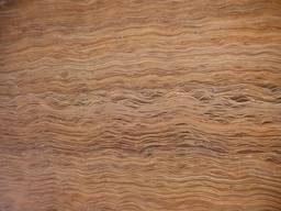 Шпон лущений : бук, береза, ольха, смерека