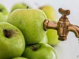 Сок концентрированный яблочный. - фото 1