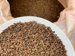 Солод ржаной сухой ферментированный Беларусь