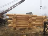 Сруб дома, бани из рубленного бревна - фото 2