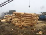 Сруб дома, бани из рубленного бревна - фото 3