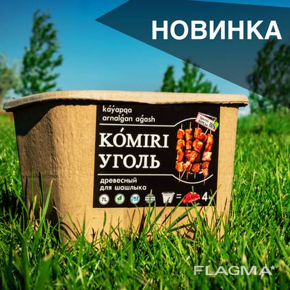Starter древесный березовый уголь для шашлыка в Эко упаковке