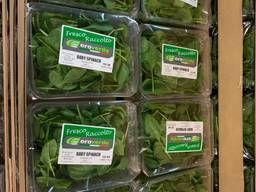 Свежая зелень