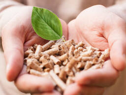 Топливные гранулы (пеллеты)