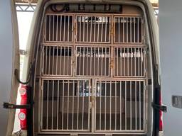 Transportation of pets