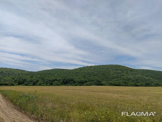 Участок для комплекс 14 дач, Солнечный берег, Болгария