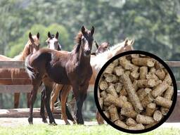 Bedding for farm animals, straw granulate