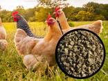 Vegetable straw pellets for animals alternative to straw bedding - фото 3