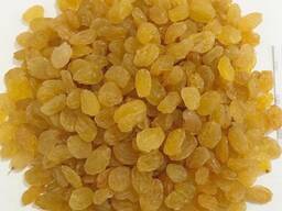 Виноград сушеный желтый (Golden) 1 сорт.