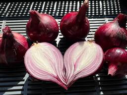 We sell red onions