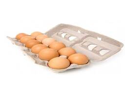 ТЪРГОВИЯ НА ЕДРО Най-качествени трапезни пилешки яйца от ферма