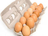 ТЪРГОВИЯ НА ЕДРО Най-качествени трапезни пилешки яйца от ферма - фото 1