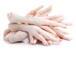 Wholesale Frozen Chicken Feet - Frozen Chicken Paw - Frozen Chicken Leg No reviews yet - фото 1