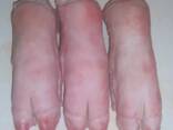 Wholesale Frozen Quartino Cut Pork Leg in Spain Buy the best grade of frozen pork leg - фото 1