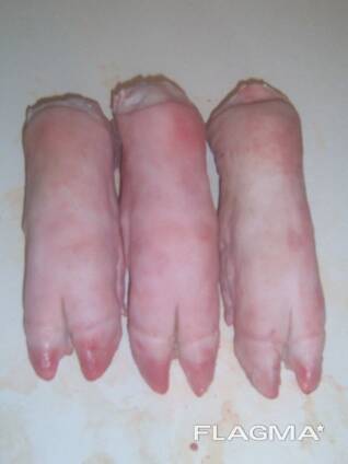 Wholesale Frozen Quartino Cut Pork Leg in Spain Buy the best grade of frozen pork leg