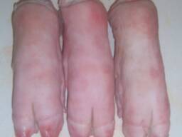 Wholesale Frozen Quartino Cut Pork Leg in Spain Buy the best grade of frozen pork leg