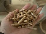 Wood Pellets Biomass Bulk Cat Litter Wholesale Dust Free wood pellet size 6mm 8mm - photo 2