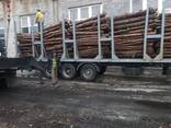 Дървесни пелети пелети Производител EXPORT - фото 3