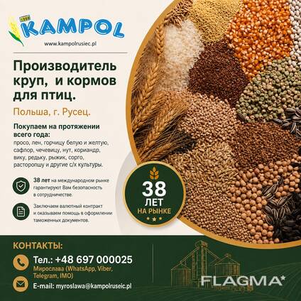 Ядро подсолнечника