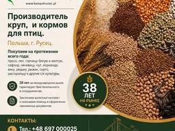 Ядро подсолнечника