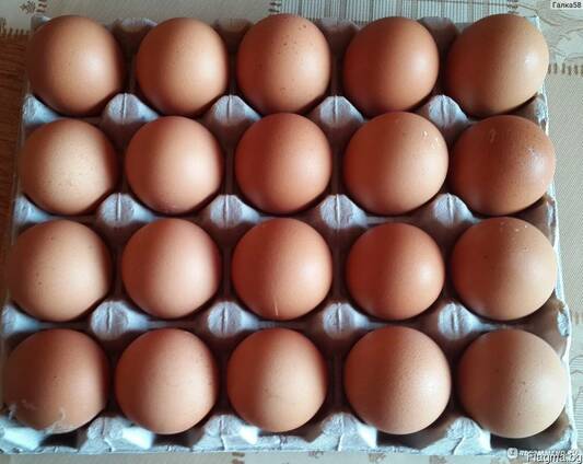 Яйца Куриные
