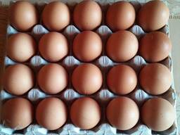Яйца Куриные