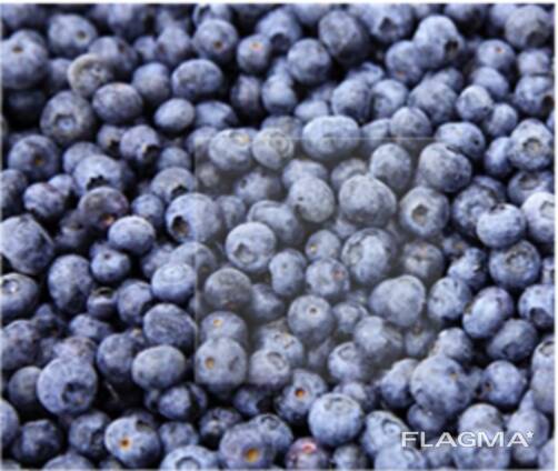 Замразени горски плодове и плодове, ягодово-плодови смеси и смеси за компот.