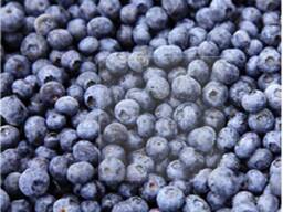 Замразени горски плодове и плодове, ягодово-плодови смеси и смеси за компот.