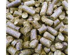 Слънчогледова торта